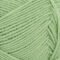8733-spring-green