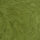 9564-matcha