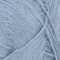 6032-blauwe-hortensia