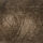 bark