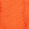 3009-oranje-tijger