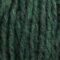 6040-wild-forest