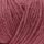 Pflaume-Rose
