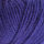 Französische Anemone