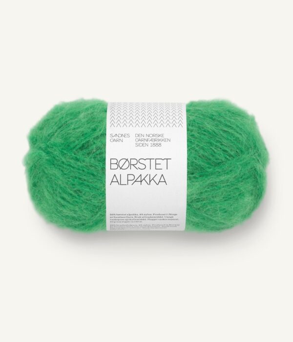 11908236_jellybean-green_300dpi_noste.jpg 11908236_jellybean-green_300dpi_noste.jpg
