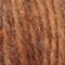 3070-squirrel