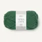 Sandnes Garn Fritidsgarn 8264 Cypress